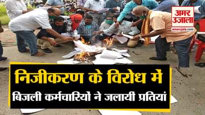 electricity workers burn copies to protest against privatization