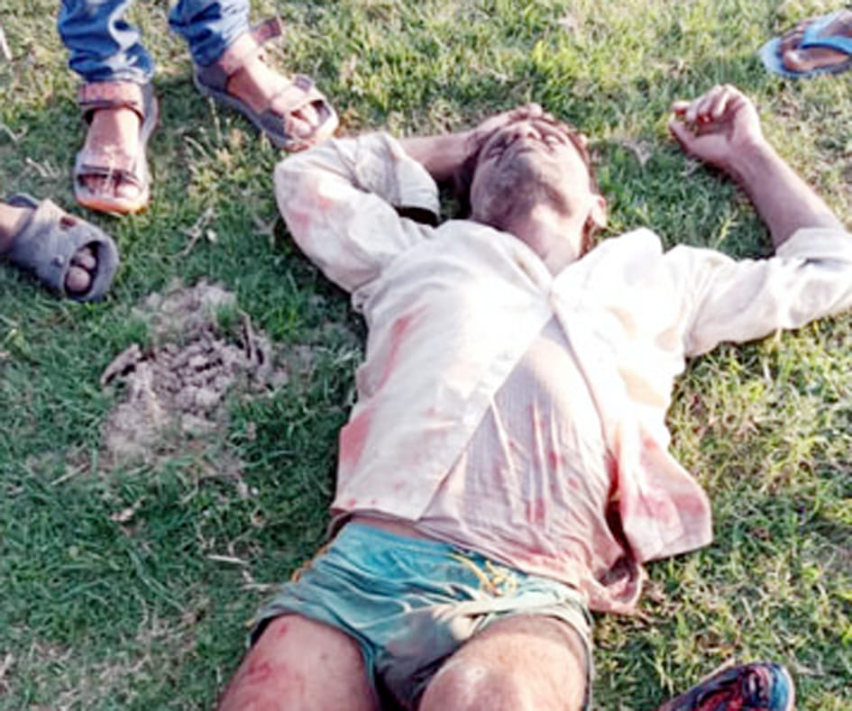 crocodile attack on villager