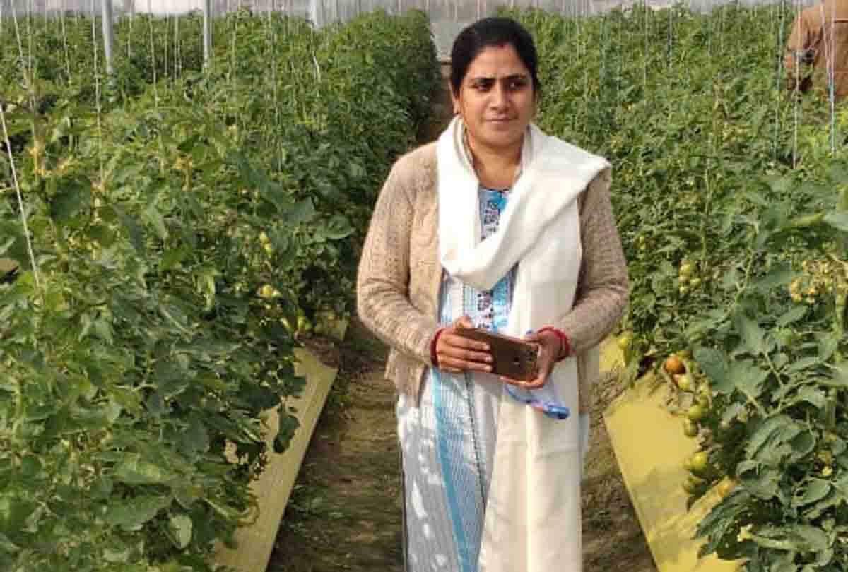 Progressive women farmer Neetu will give information on vegetable production on Facebook page of Amar Ujala Kanpur