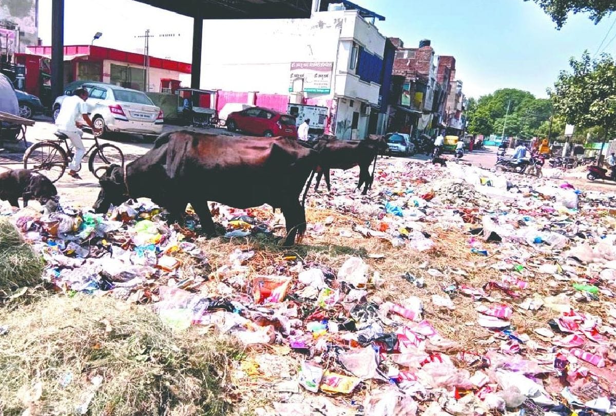 Hathras case protest sanitation system fail due to strike in agra