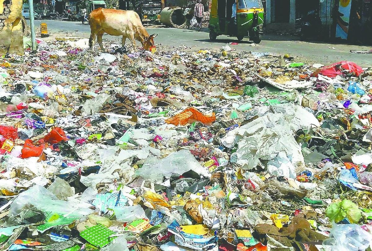 Dead bodies of 14 animals found in garbage house