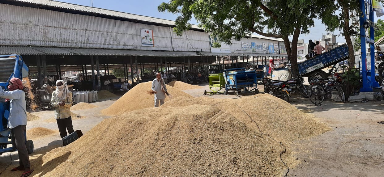 agriculture