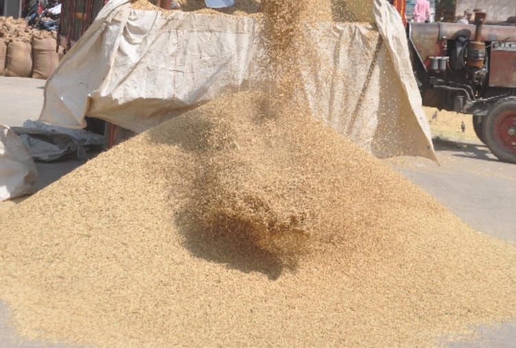 Haryana Government will give two percent relaxation in paddy moisture