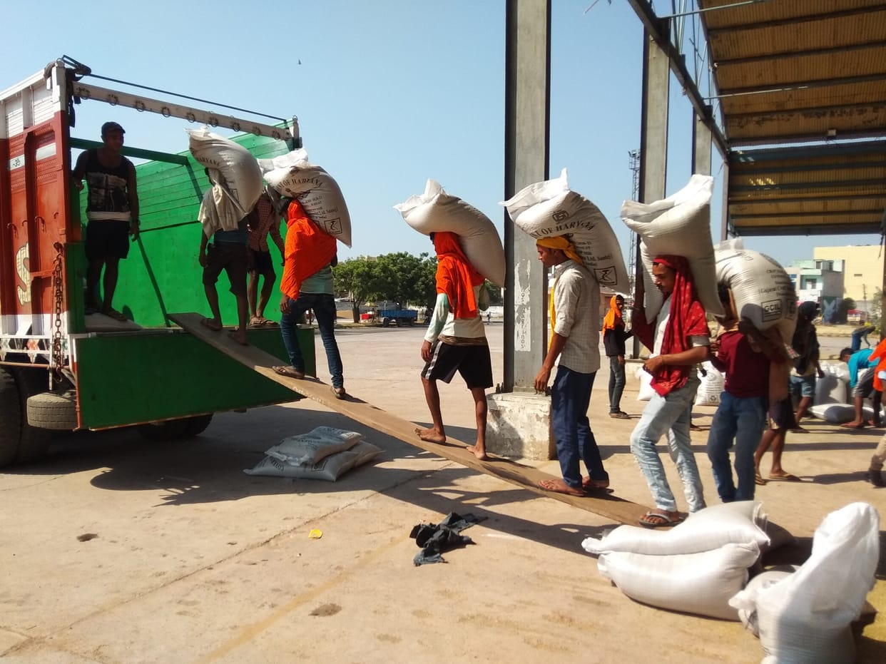 Gate passes of farmers cut in the night, procurement of millet in berries on Monday