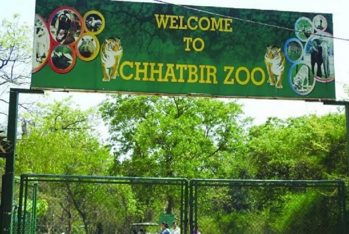 Chhatbir Zoo Going to Open from 15 October