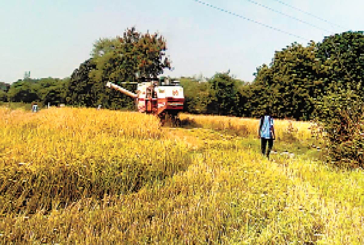 CM helpline will ask more than 10 lakh farmers, whether price of paddy has been paid or not