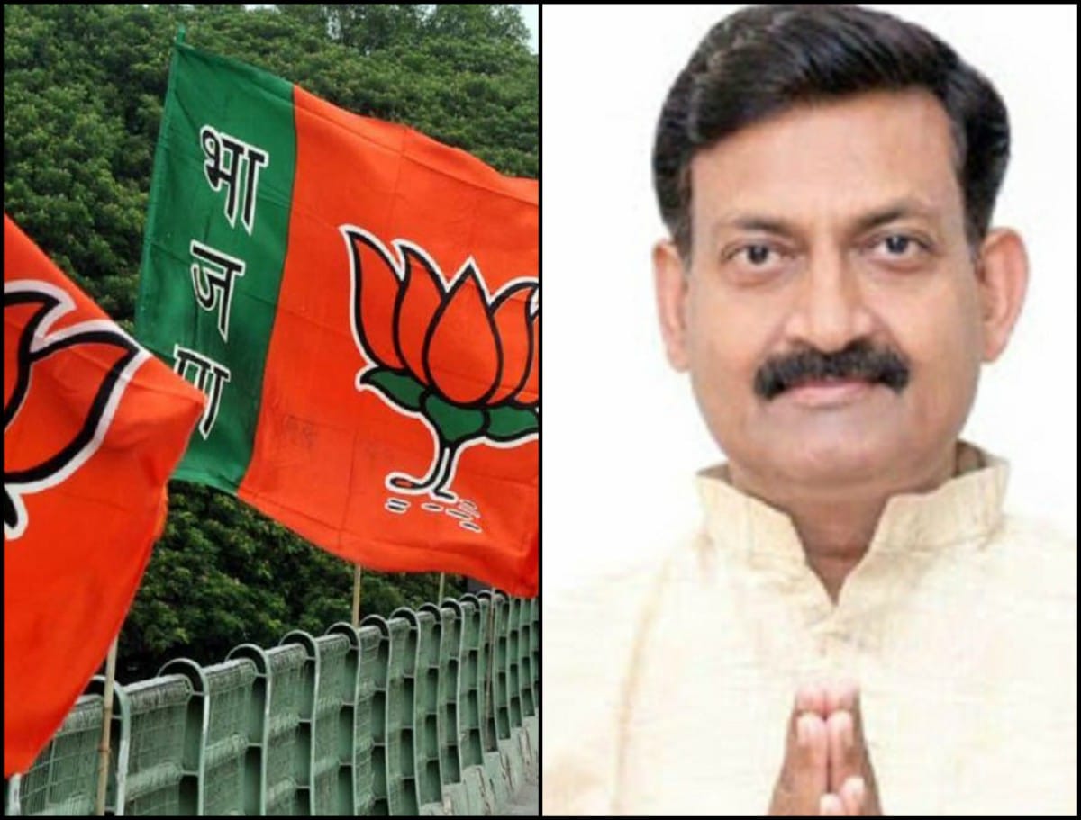 uttar pradesh UP assembly by-election: upchunav bjp candidate panini singh from malhani seat jaunpur