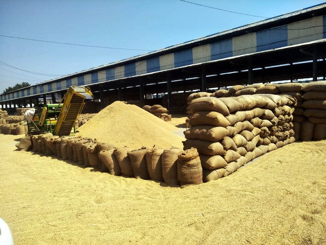 agriculture