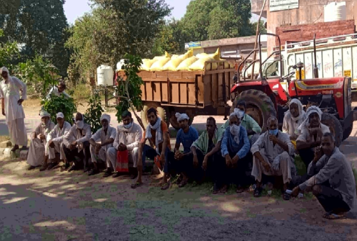 In gurugram grain market farmers facing problem while coming to sell crops due to technical glitch