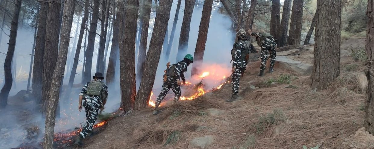 fire in forest area of chinaini