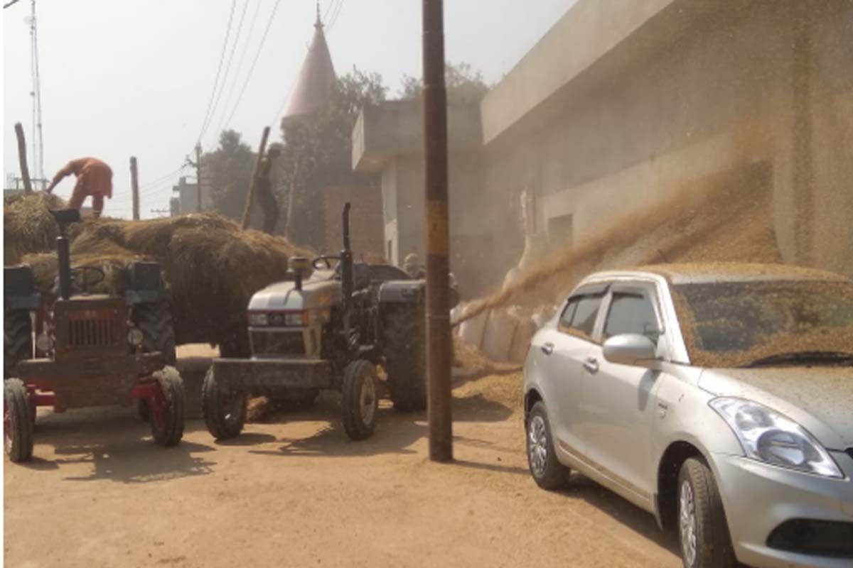 Paddy straw threshing on main road, passers-by faced the difficult