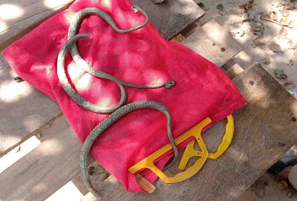 Yellow metal ornaments found while leveling the field in unnao