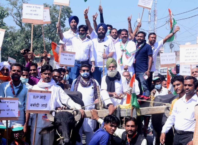 Protest in Bullock Cart