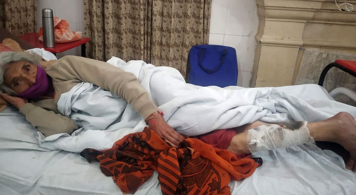 12 dogs pounce on elderly woman on a walk in Nainital