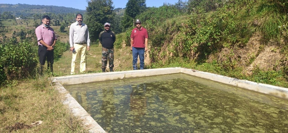 Badri urine will increase body immunity
