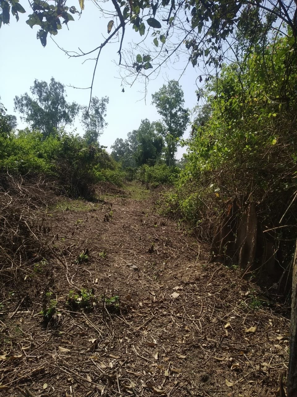 Scratch of land in the way of model degree college