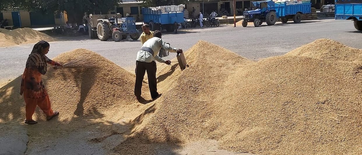 Paddy Sells Below MSP