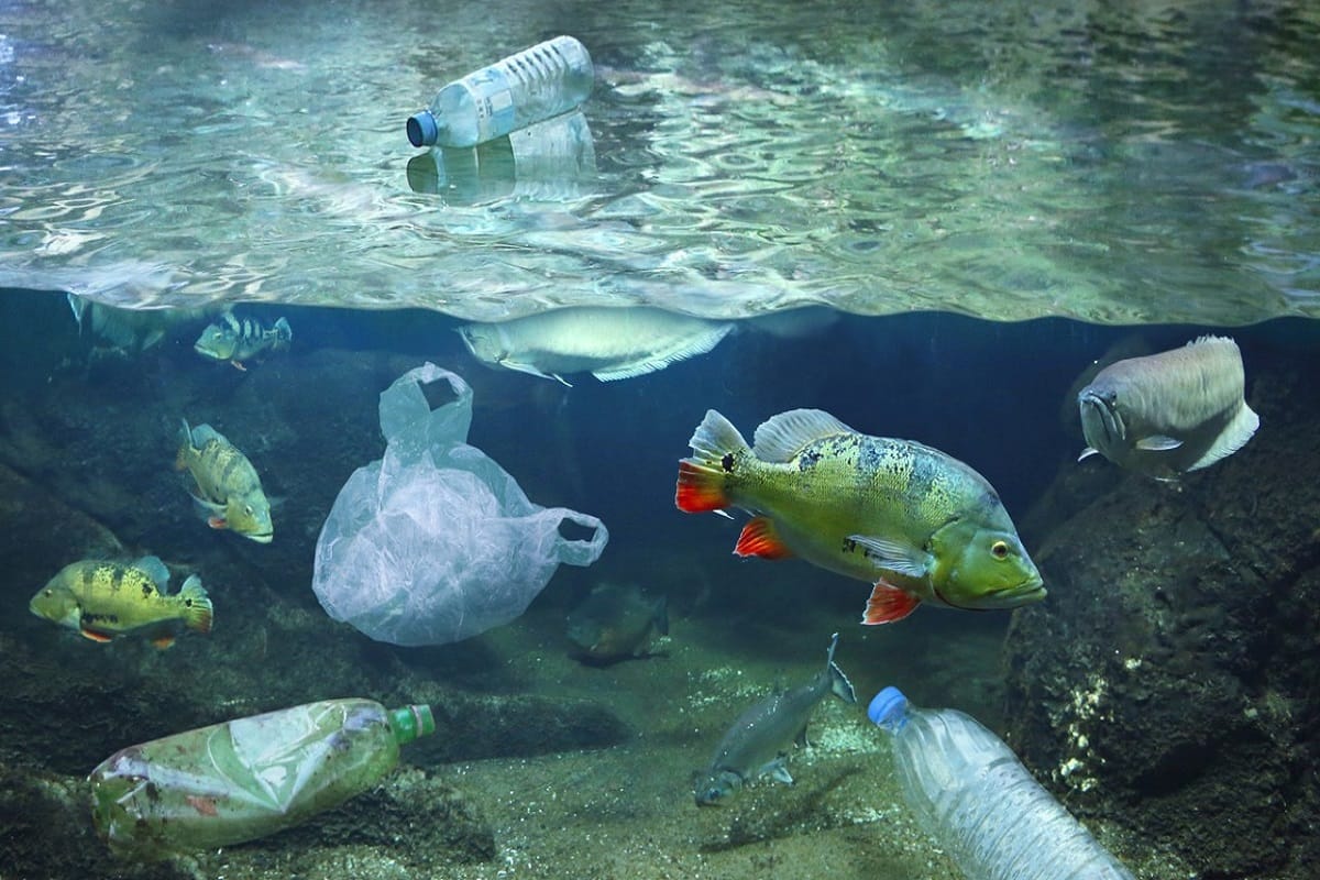 14 million tons of microplastics on seafloor