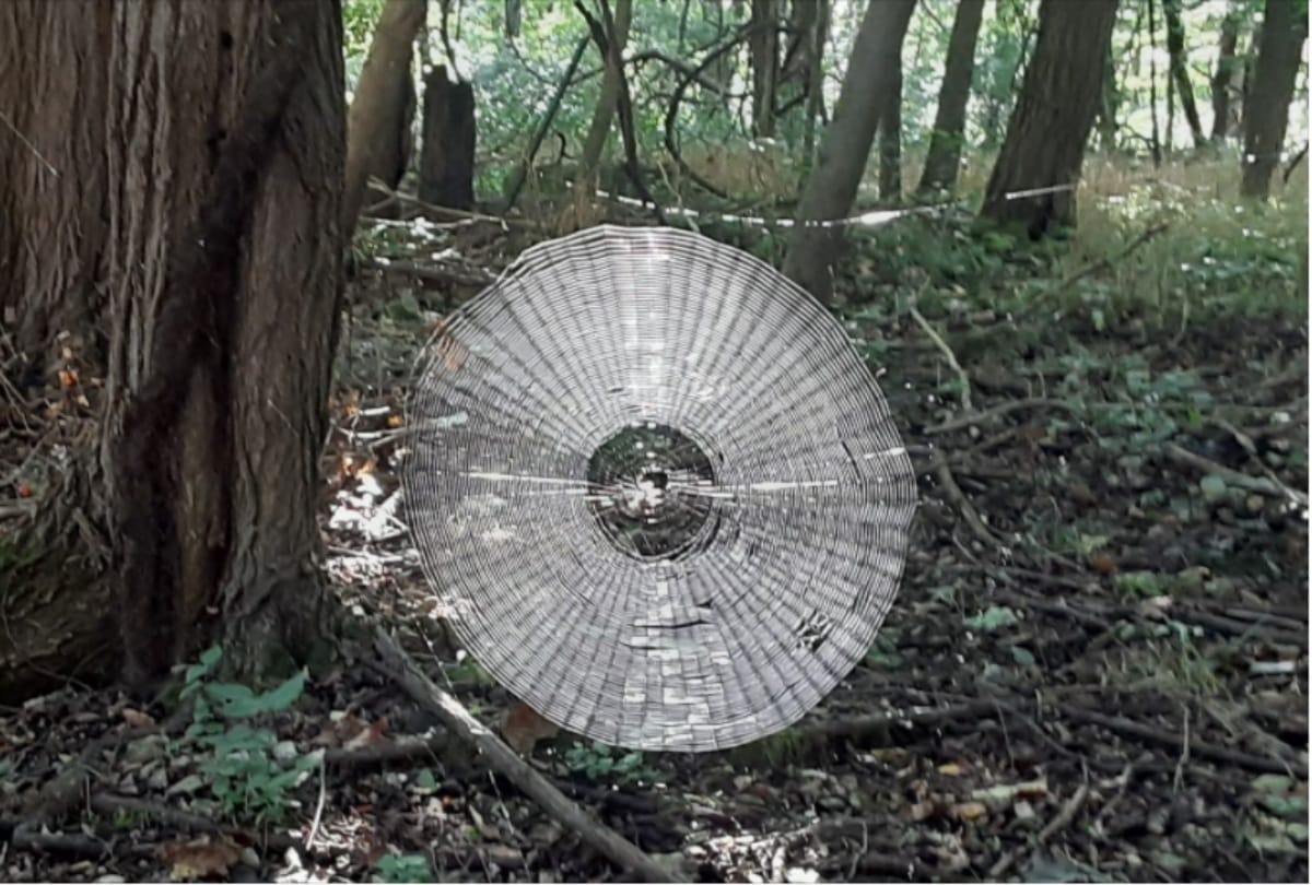Forest in the US state of Missouri Spooky Spiderweb Found Big Enough to Catch Humans