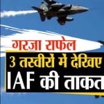 राफेल