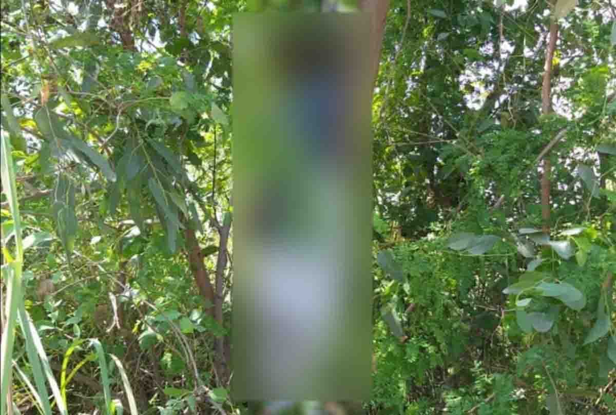 Farmer's body found hanging from tree