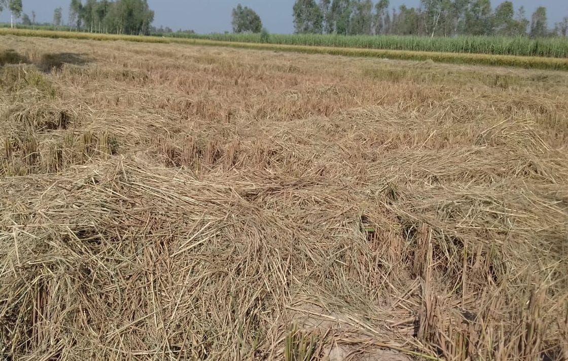 Parali burn in field by farmers