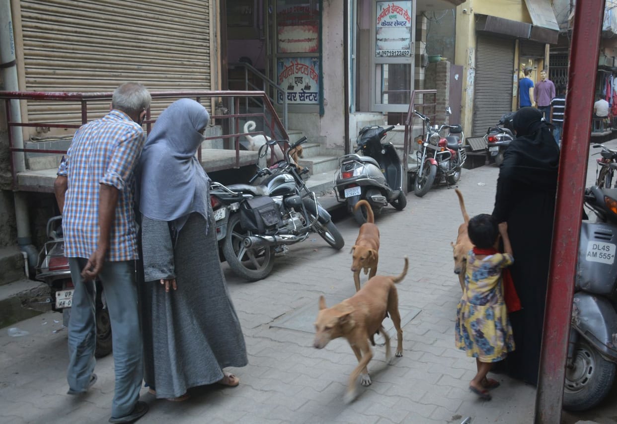 dog bites five people