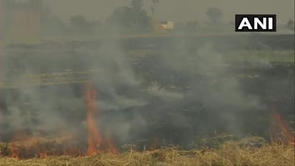 Environmental pollution: Delhi can become model state on stubble management