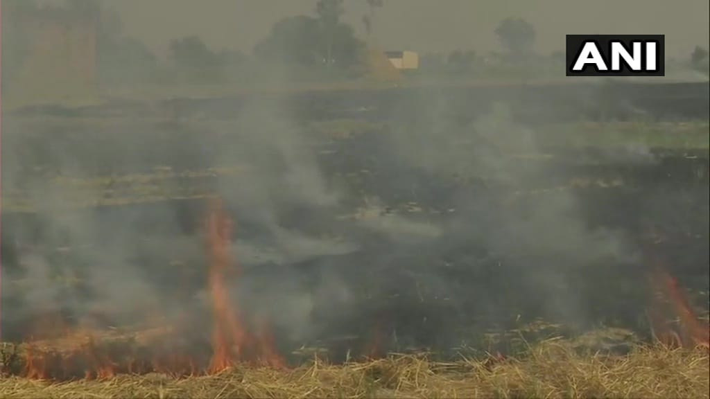 The figure of stubble burning increased in Punjab on Monday