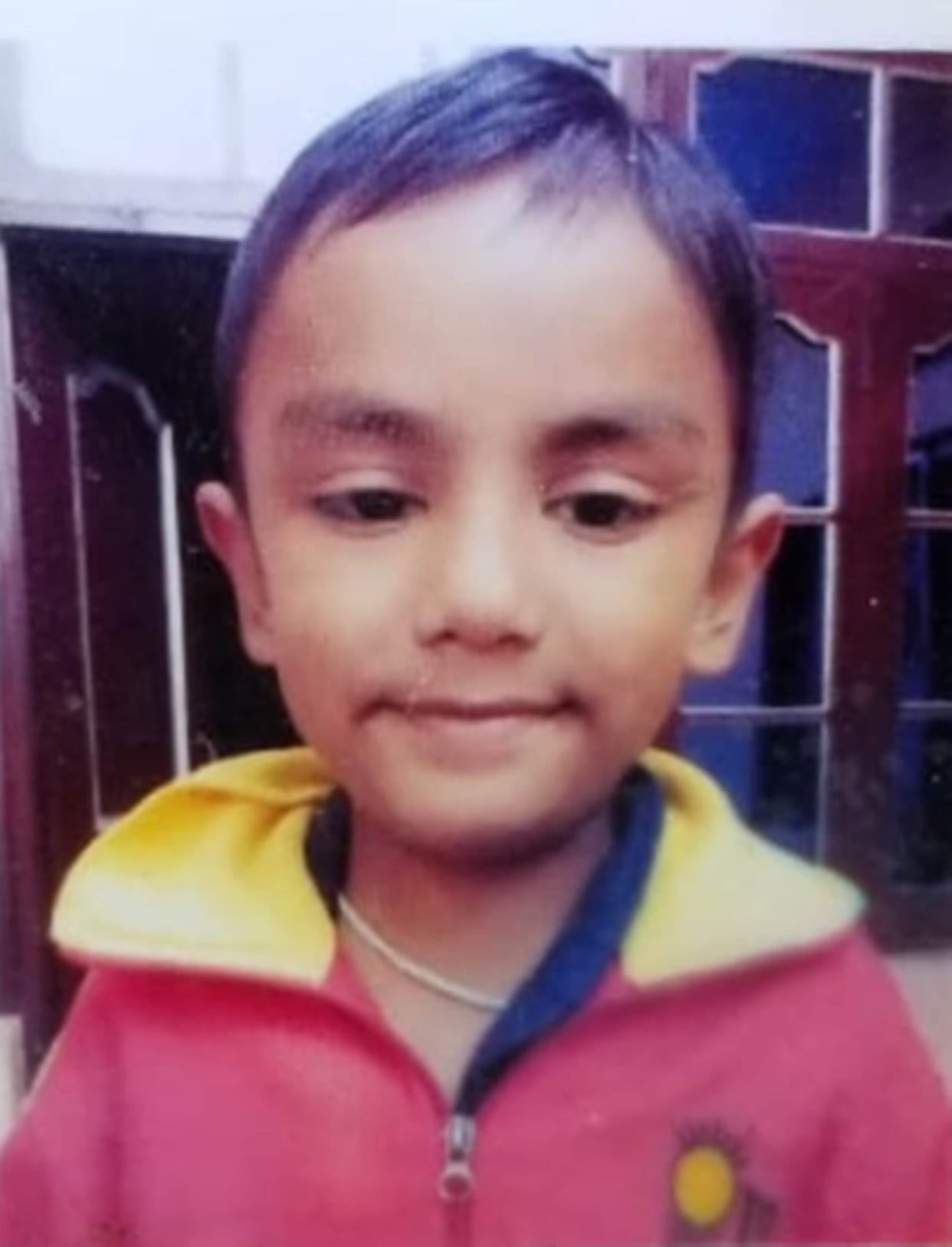 7-year-old child attacked by bees, dies