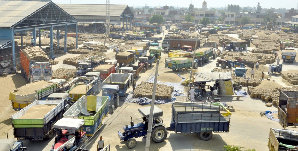 91 thousand 588 metric tonnes of paddy raised from mandis and procurement centers