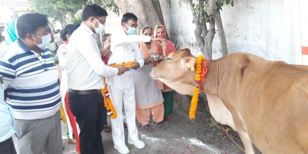 Provided cow to the family of malnourished children
