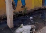 कैराना की इस्लाम नगर बस्ती में प्राथमिक स्कूल के बाहर नाली में भरा कूड़ा व गंदा पानी