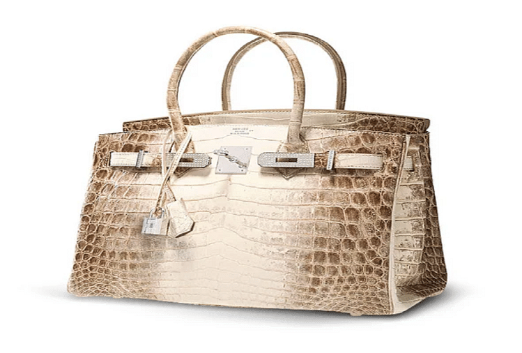 The 10 Most Expensive Handbags in the World  Hermès Birkin Chanel Louis  Vuitton Beyoncè L