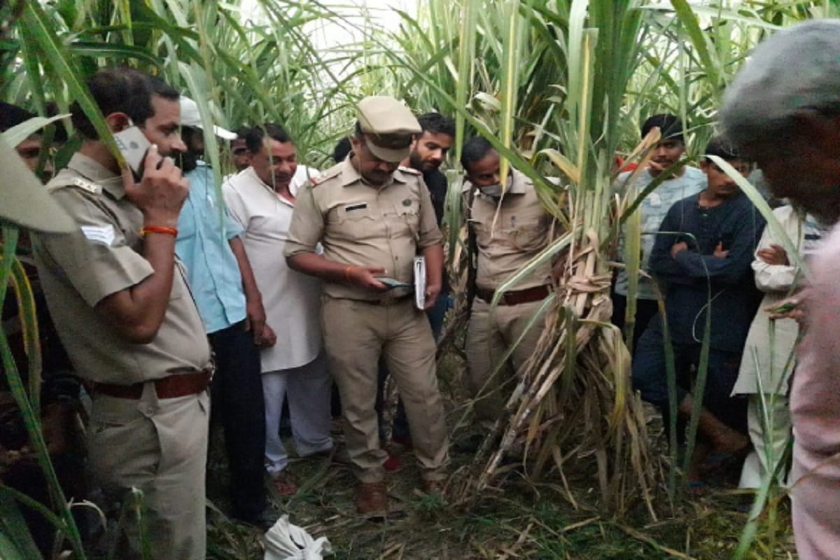 UP Crime News: A old man murdered in a village in Baghpat