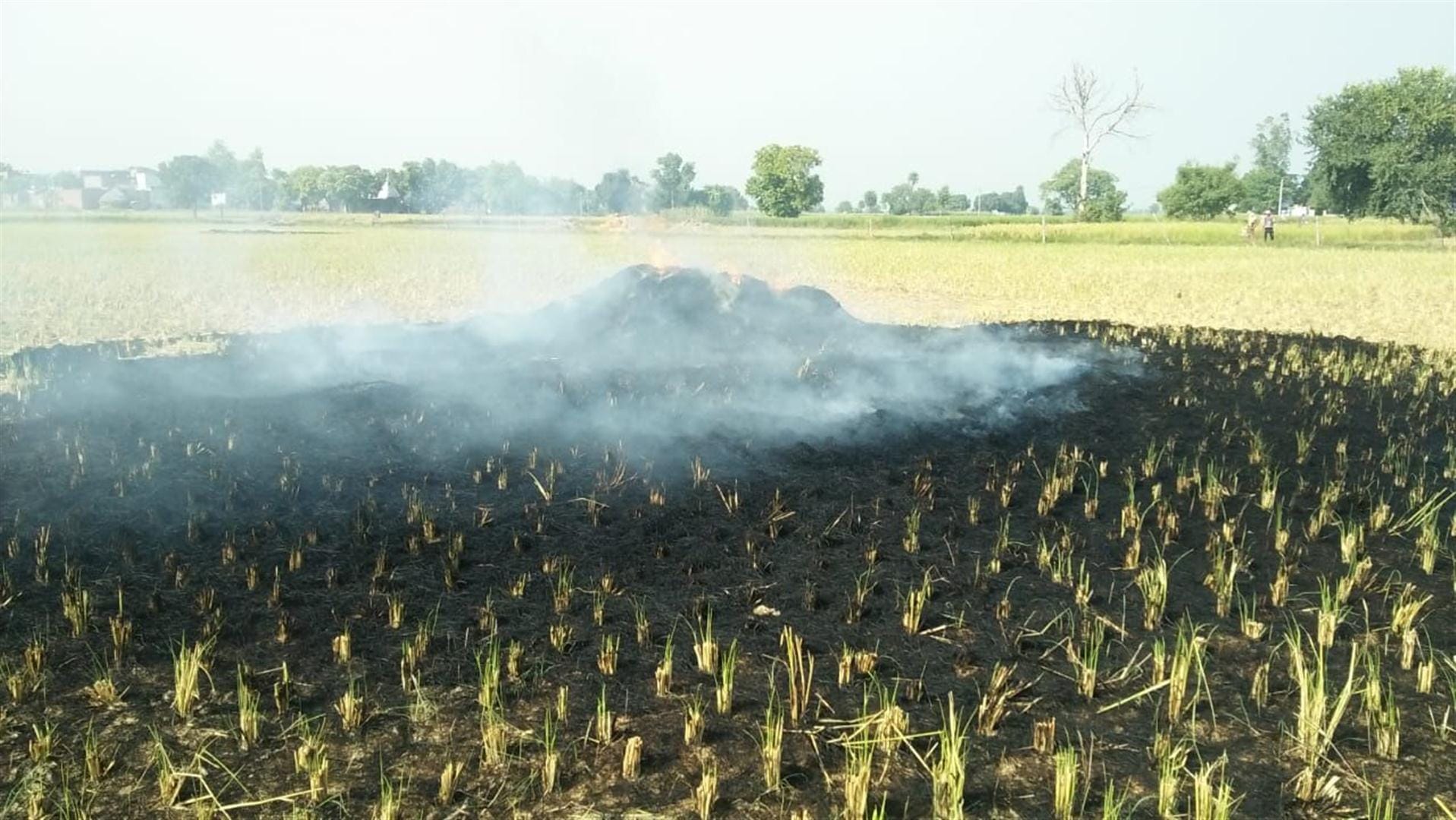 Air Pollution in Delhi-NCR, Stubble burning by farmers, What is AQI, Today's AQI Report