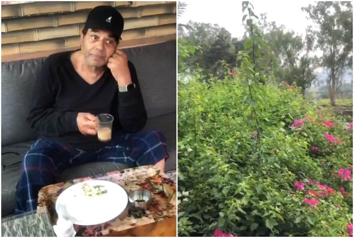 Dharmendra Shares Beautiful Video Of His Farm House Says I Have Eaten Bajre Ki Roti and Butter
