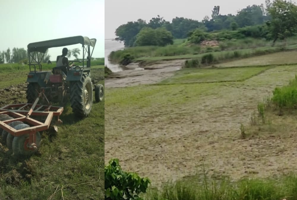 Farmers made crisis into opportunity in bhelsar in Ayodhya.