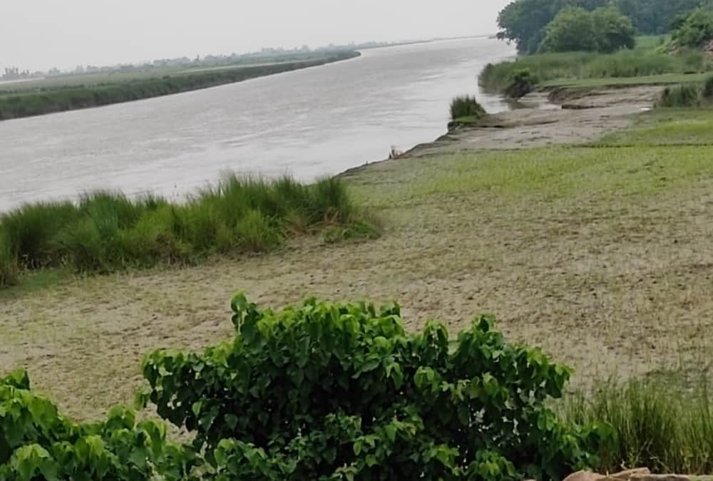 Farmers made crisis into opportunity in bhelsar in Ayodhya.