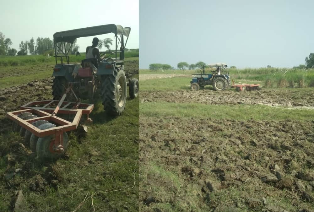 Farmers made crisis into opportunity in bhelsar in Ayodhya.