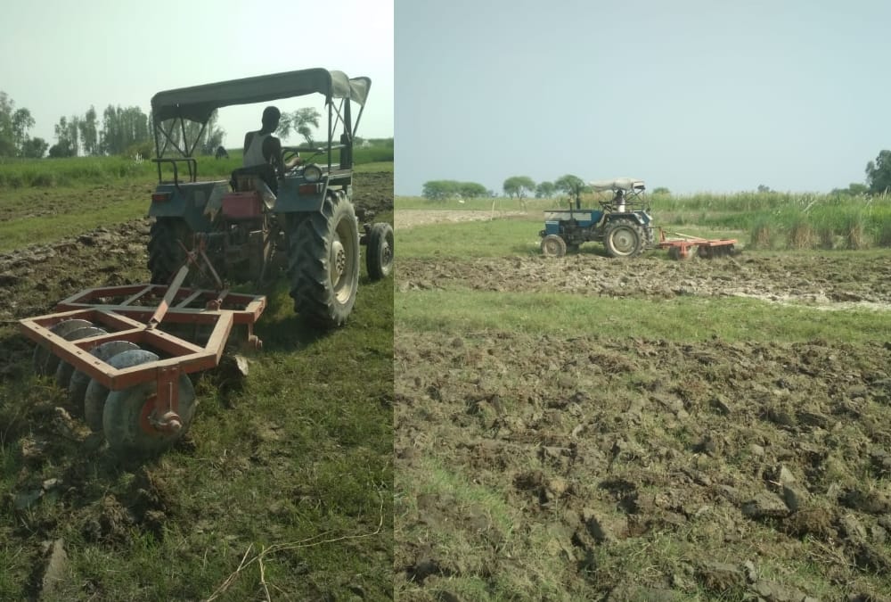 Farmers made crisis into opportunity in bhelsar in Ayodhya.
