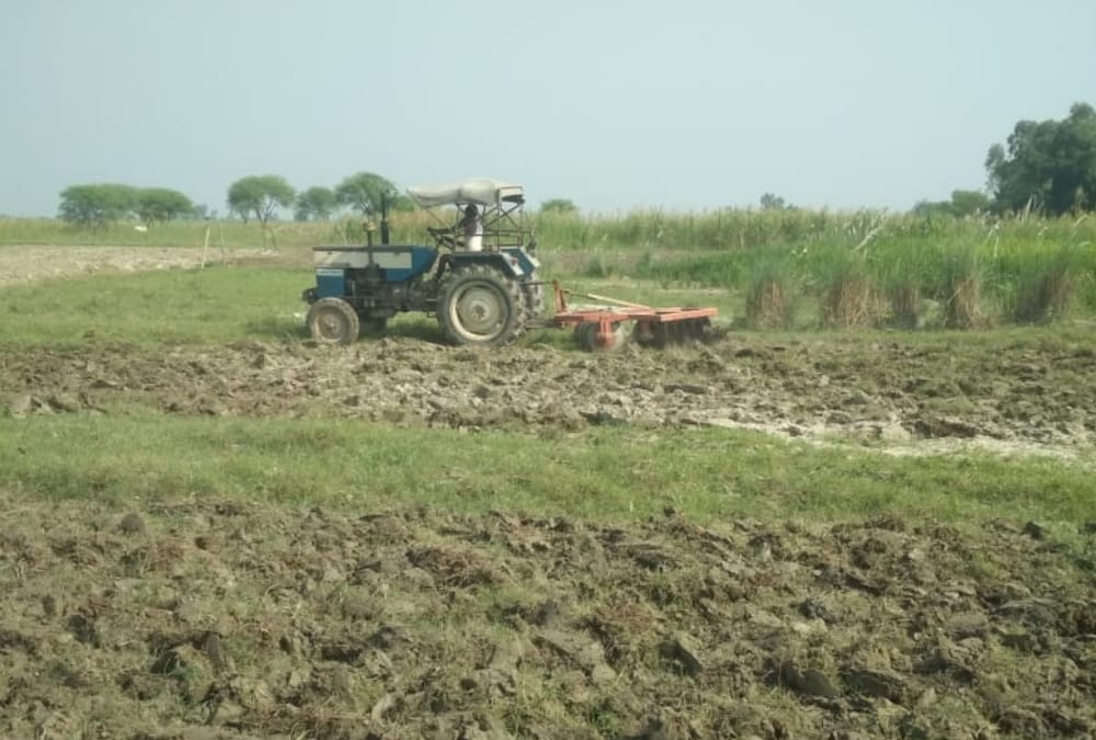 Farmers made crisis into opportunity in bhelsar in Ayodhya.