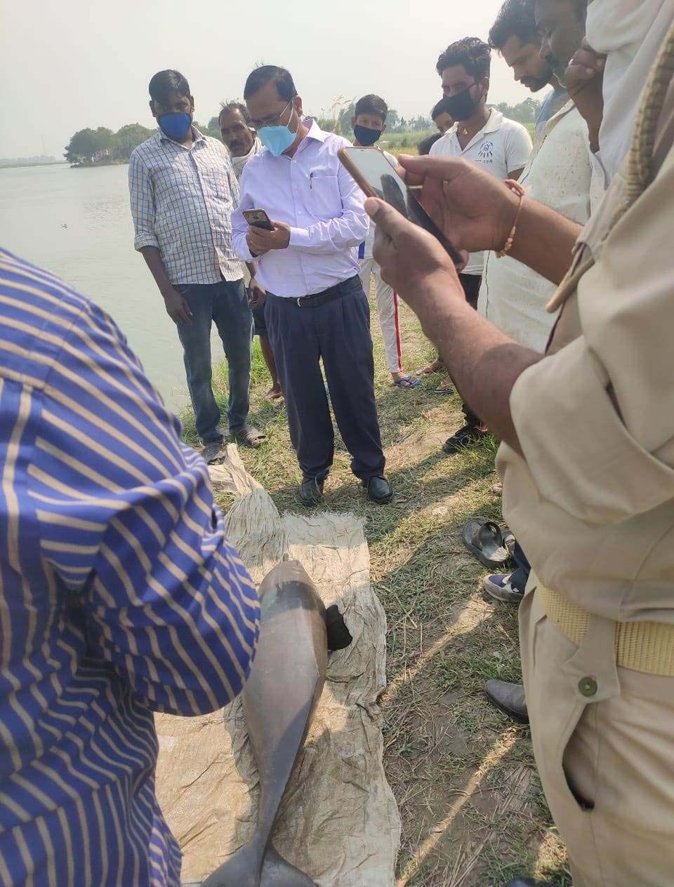 Dolphin found dead in Ganges river