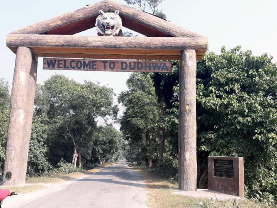 dudhawa jungal