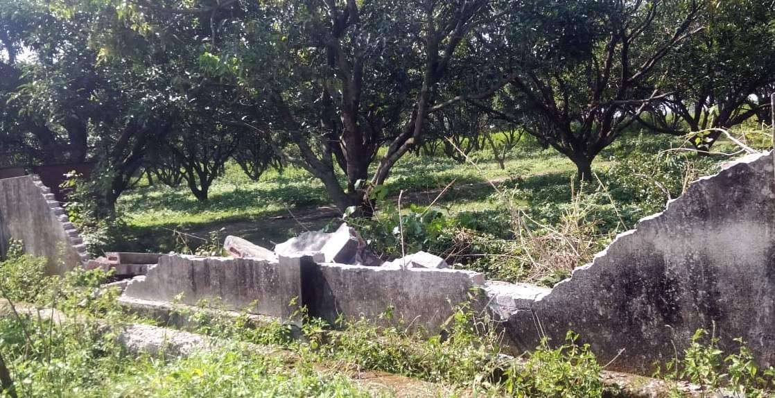 Elephant smashed goat farm boundary in Listradabad