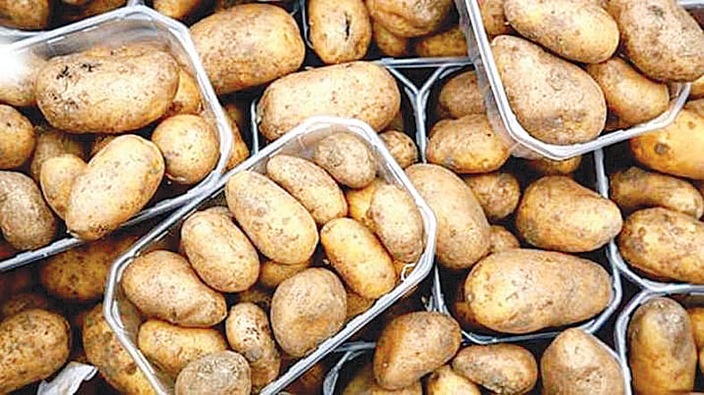 Subsidies end, one thousand rupees more to be paid for potato seeds