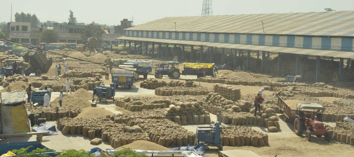 Agencies purchased 2 lakh 43 thousand 985 MT of paddy
