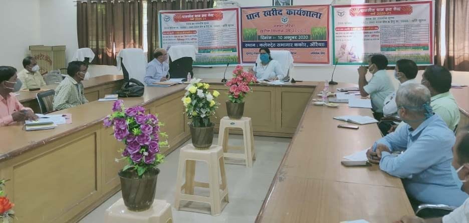 Target to purchase 50 thousand metric tons of paddy