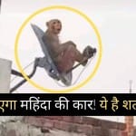 यूजर्स इस तस्वीर का कैप्शन बता कर जीत सकते हैं नई कार