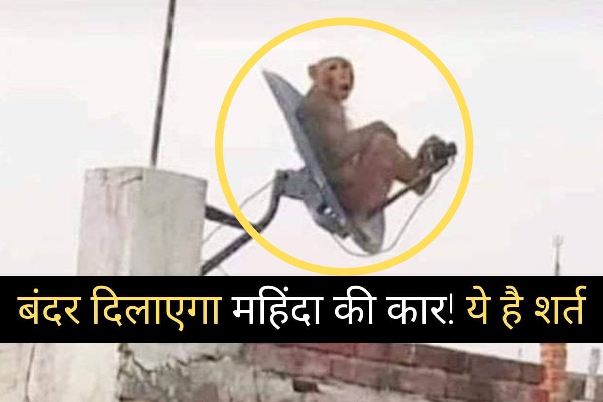 Anand Mahindra has posted a picture on his twitter account, where the person who gives the best caption will get a new Mahindra in reward